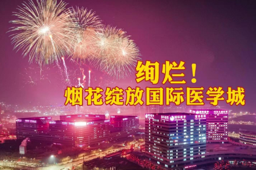 絢爛！煙花綻放國(guó)際醫(yī)學(xué)城